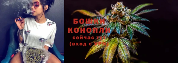 экстази Пионерский
