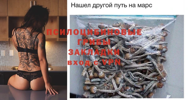 гашик Магас