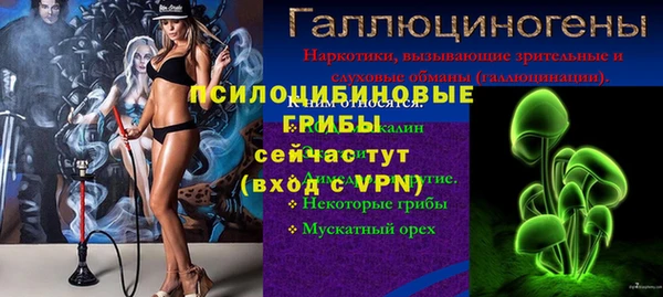 молекула духа Магадан