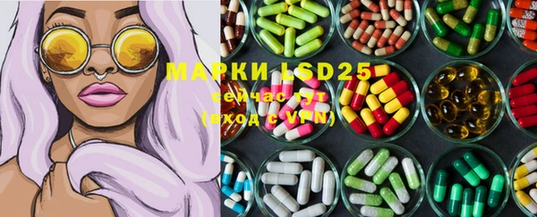 гашик Магас