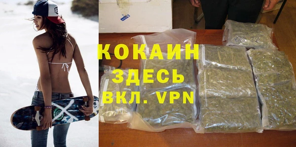 молекула духа Магадан