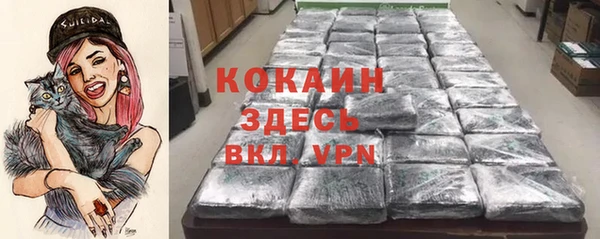 гашик Магас