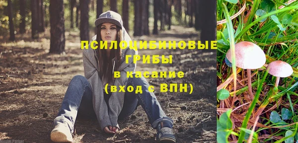 гашик Магас