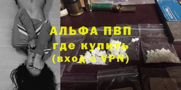 молекула духа Магадан
